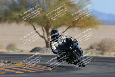 media/Feb-04-2023-SoCal Trackdays (Sat) [[8a776bf2c3]]/Turn 4 (Tree of Life 2pm)/